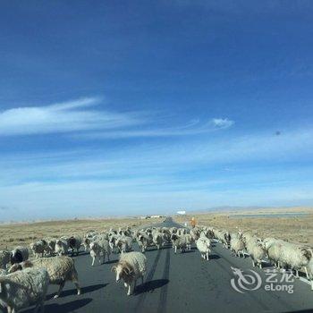 西宁祥瑞家庭宾馆酒店提供图片