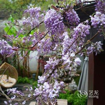 久栖·同里万福草堂精品客栈酒店提供图片