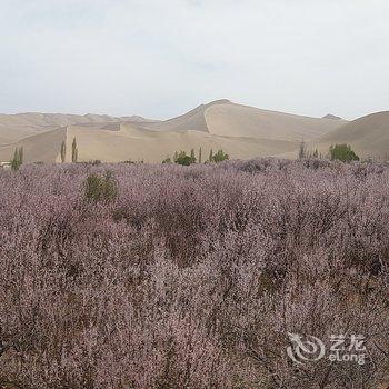 敦煌润月泉客栈酒店提供图片