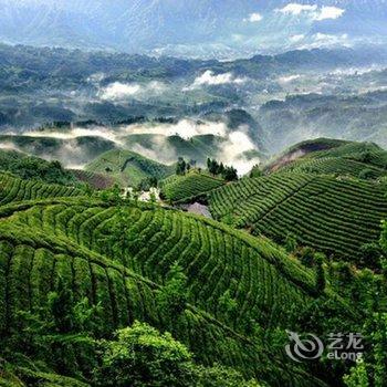 鹤峰鑫农苑酒店酒店提供图片