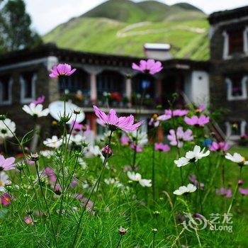 新都桥格桑花园酒店酒店提供图片