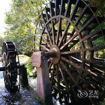 永嘉红枫缘民宿酒店提供图片