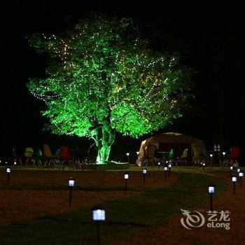 栾川人巢户外青年旅舍酒店提供图片