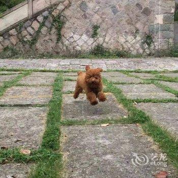 雁荡山媛媛度假村酒店提供图片