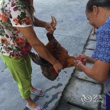 云和雨晨农家乐酒店提供图片