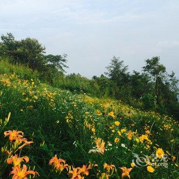 莫干山白云深处·府邸酒店提供图片