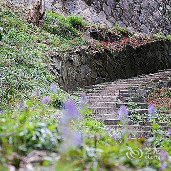 莫干山白云深处·府邸酒店提供图片