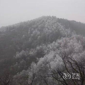 莫干山白云深处·府邸酒店提供图片