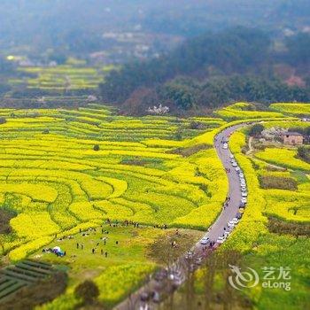 成都蒲江花样年福朋喜来登度假酒店酒店提供图片