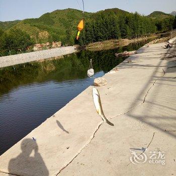 承德下庙水库生态垂钓园住宿酒店提供图片