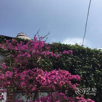厦门何必最客栈