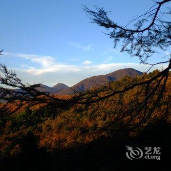 临安一山九舍微酒店酒店提供图片