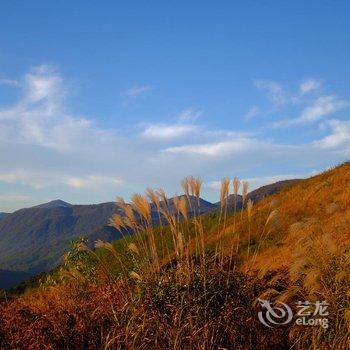 临安一山九舍微酒店酒店提供图片