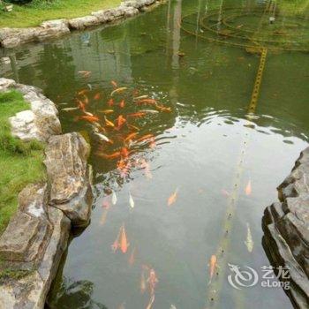 芒市云雾酒店酒店提供图片