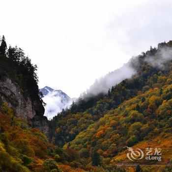 汶川东兴苑羌家乐酒店提供图片