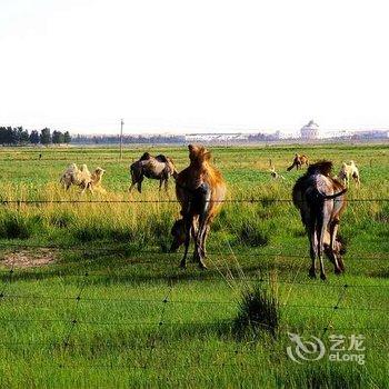 张北香君阁农家院酒店提供图片