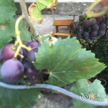 汶川东兴苑羌家乐酒店提供图片