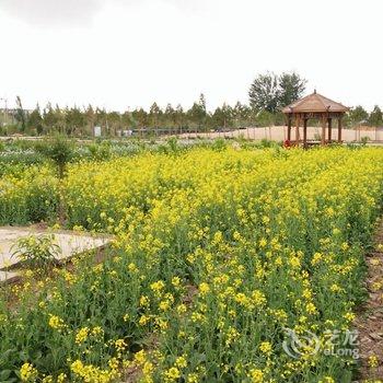 敦煌锦绣大地生态园自驾车营地酒店提供图片