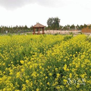 敦煌锦绣大地生态园自驾车营地酒店提供图片