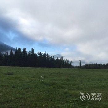 布尔津喀纳斯美林酒店酒店提供图片