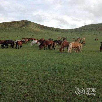 张北胡杨草原部落酒店提供图片