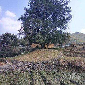 龙泉林海山庄酒店提供图片