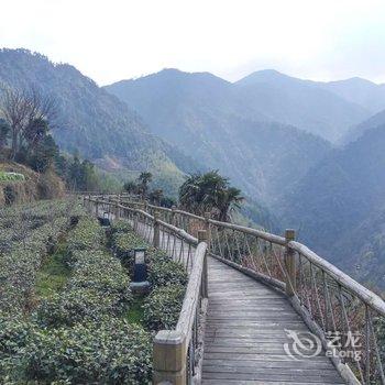 龙泉林海山庄酒店提供图片