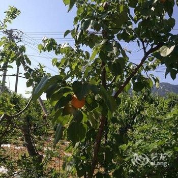 蒙山百泉峪怡泉山庄民宿用户上传图片