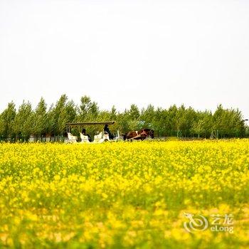 丰宁坝上草原嘉年华度假酒店酒店提供图片