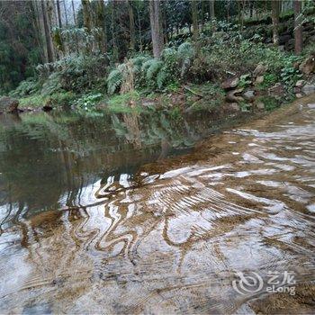 崇州罗鹤松祖传凉鸡肉主题酒店酒店提供图片