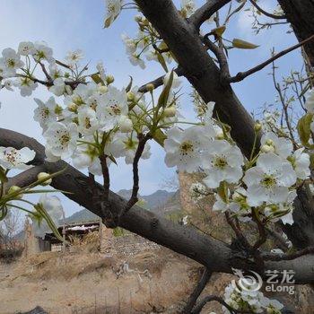 介休绵山任家小院酒店提供图片