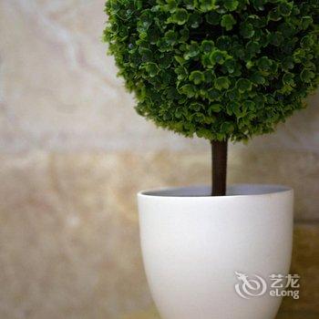 宜宾蜀南竹海林海大院酒店提供图片