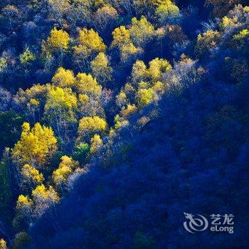 丰宁坝上缘野牧歌农家院酒店提供图片