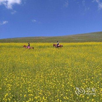 丰宁坝上燕北京都农家院酒店提供图片