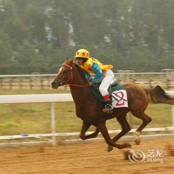 丽江骏逸骑士会度假山庄酒店提供图片