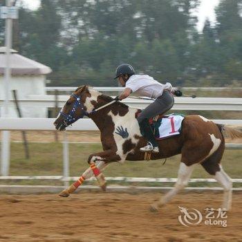 丽江骏逸骑士会度假山庄酒店提供图片