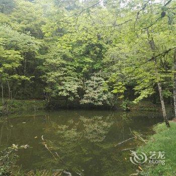 雅安蓝水晶大酒店用户上传图片