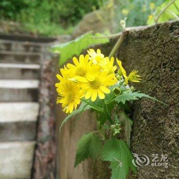 临安天目山庄酒店提供图片