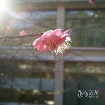 临安天目山庄酒店提供图片