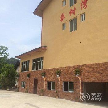 重庆江津梨树湾度假村酒店提供图片