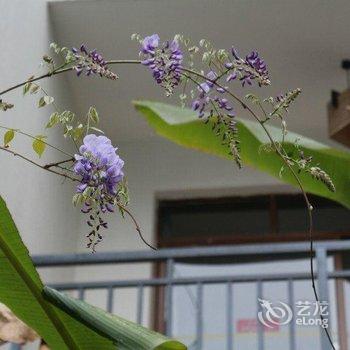 阳朔唐人街酒店酒店提供图片