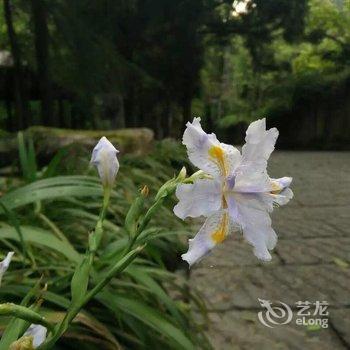 临安天目山庄酒店提供图片