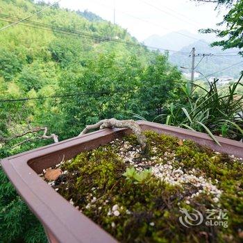 临安西天目集贤山庄酒店提供图片