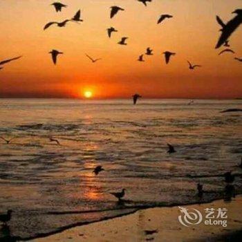 绥中东戴河山海同湾夏日海景公寓酒店提供图片