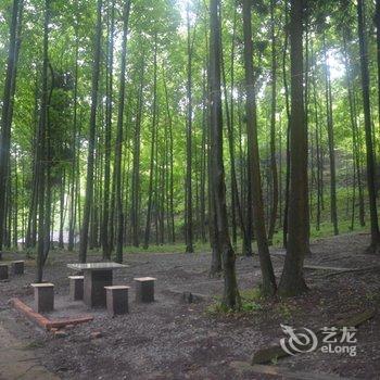 重庆南川山王坪云岭森林酒店酒店提供图片