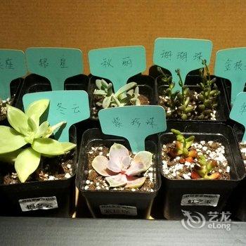 重庆想多了青年旅舍酒店提供图片