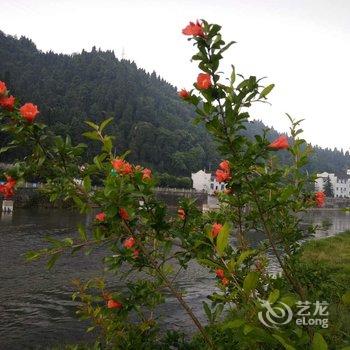 湘西馨悦客栈酒店提供图片