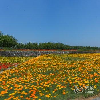 宿迁华夏微影衲田花海怿曼酒店酒店提供图片