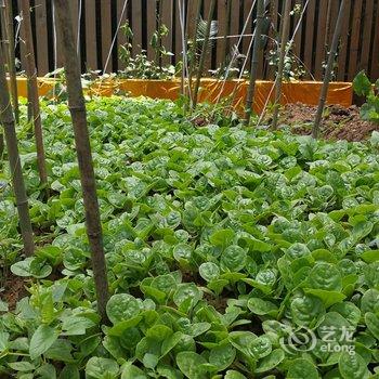 重庆千树花酒店酒店提供图片