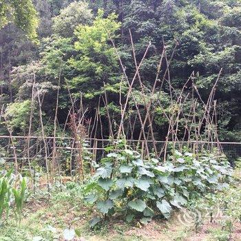 景德镇青玉山坞·民宿酒店提供图片